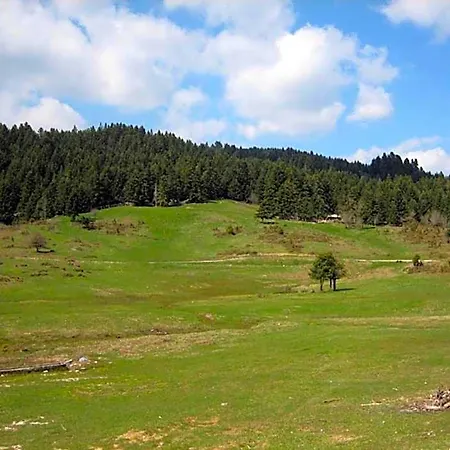 Archontiko Christodoulou Elati (Trikala)